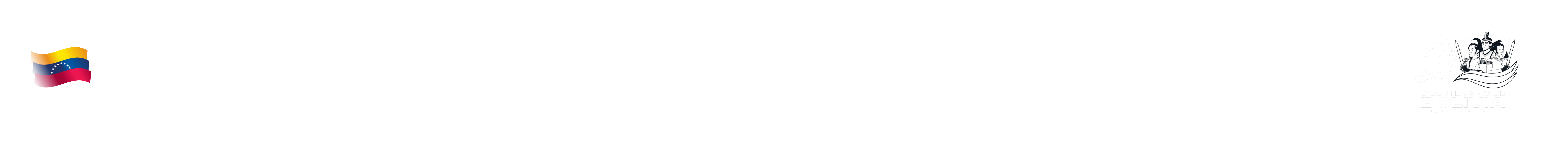 Institucional